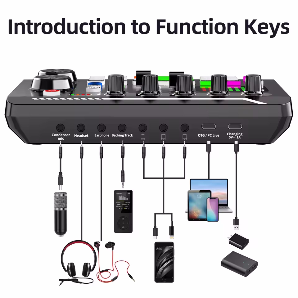 Kondensatormikrofon, professio – Audio Music Voice Changer Bewertung und Preis